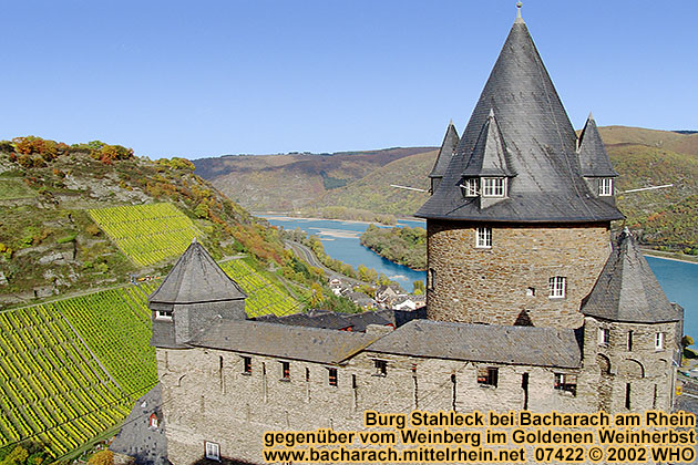 Burg Stahleck bei Bacharach am Rhein gegenber vom Weinberg im Goldenen Weinherbst